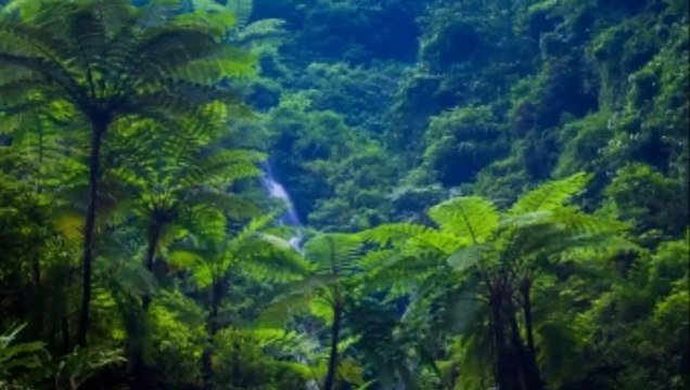 Musica para orar, musica para buscar de Dios, musica para orar y ayunar