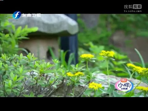 20140710 真爱在囧途 《真爱在囧途》20140710 陈赫吃光经费逃交房租 陶晶莹发飙中断拍摄