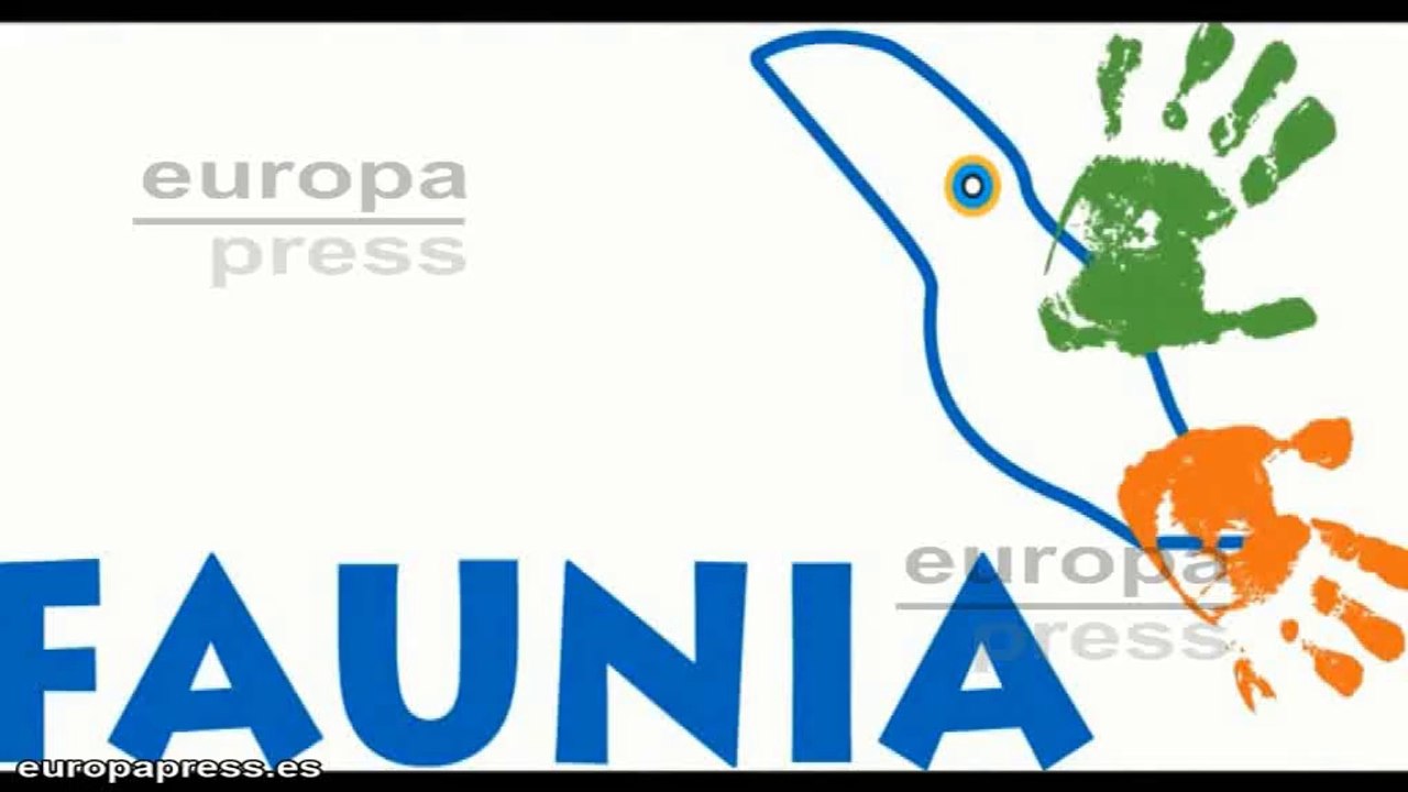 Faunia celebra el nacimiento múltiple de pingüinos