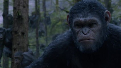 Bonus Content: Could A "Dawn of the Planet of the Apes" Disaster Actually Happen?