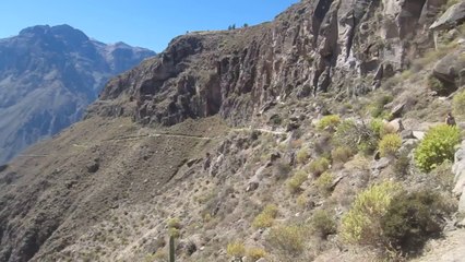 Hey Toe 15 - Canyon del Colca