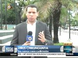 Confirman 3 nuevos casos de Chikungunya en Portuguesa
