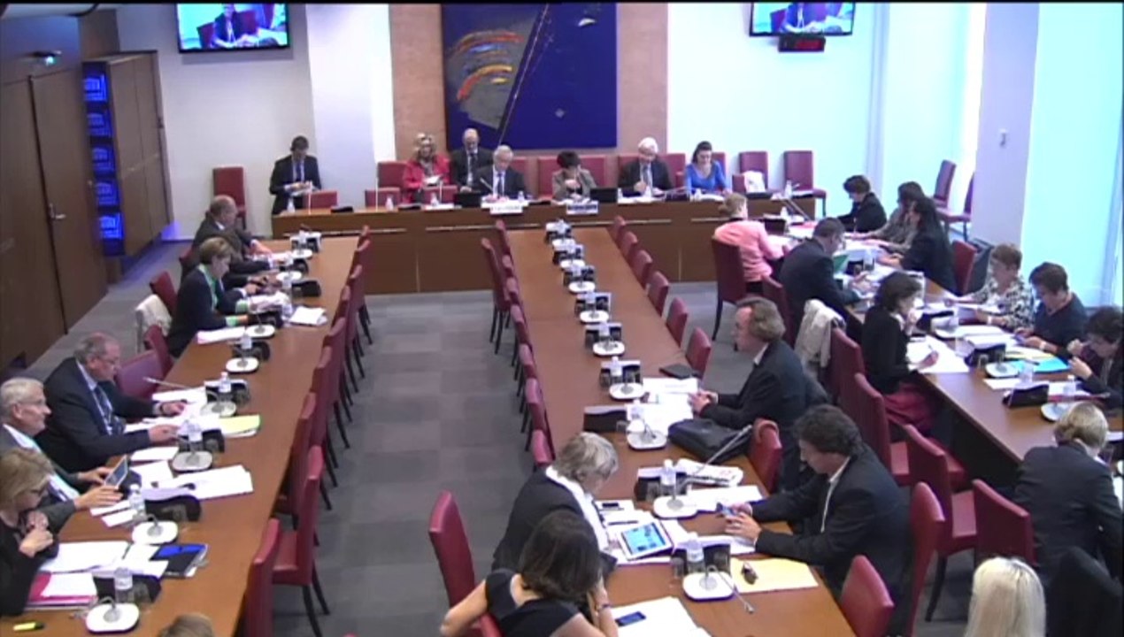 Question à François Rebsamen, Ministre du Travail - Commission Affaires Sociales