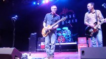Toadies - Mexican Hairless (Live in Houston - 2014) HQ