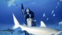 Elle danse au milieu des requins