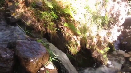 Paysage 22 - Canyon del Colca Cascade Ruisseau