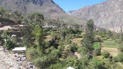 Paysage 25 - Canyon del Colca Terrasses