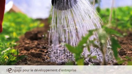 L’Européen d’à côté : l'Europe s'engage pour le développement d'entreprise