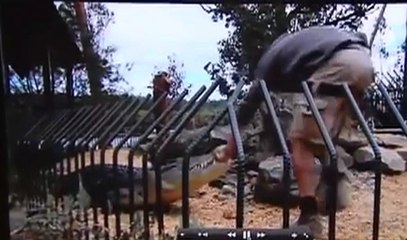 Vidéo choc : le spécialiste des crocodiles se fait mordre en pleine démonstration !