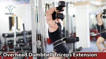 Overhead Dumbbell Triceps Extension Tập tay sau đúng kỹ thuật thể hình