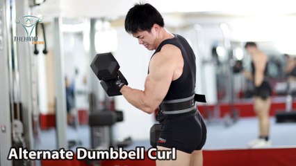 Alternate Dumbbell Curl Tập tay trước con chuột đúng kỹ thuật thể hình