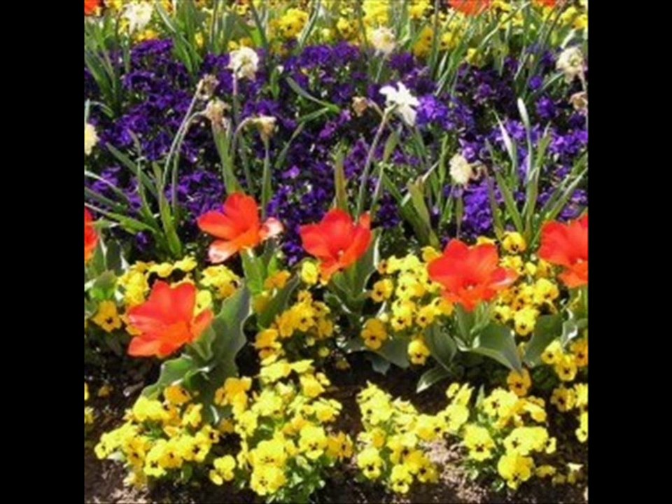 SAVAŞ OLMASIN Söz&Müzik ve Yorum: Hasan Kılıçatan