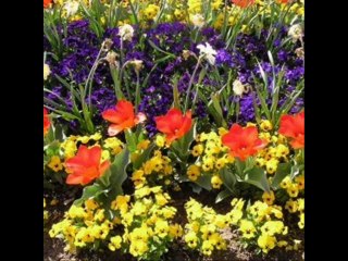 SAVAŞ OLMASIN Söz&Müzik ve Yorum: Hasan Kılıçatan