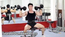 Seated Dumbbell Press đẩy vai hiệu quả tập thể hình fitness