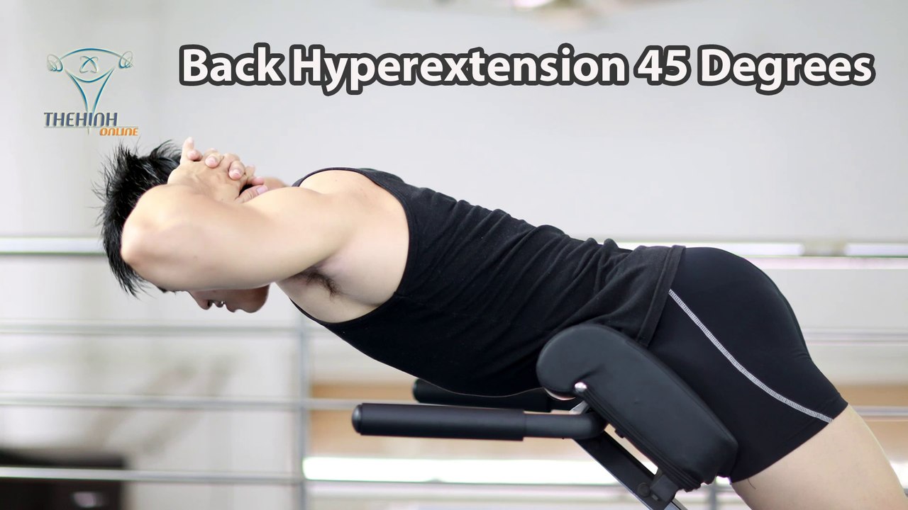 Back Hyperextension 45 độ Tập Thể Hình Cơ Lưng Dưới