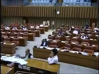 Faisal Raza Abidi Speech in Senate on CJ and His Son