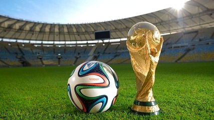 Le meilleur de la Coupe du Monde 2014 - ZAPPING ACTU BEST-OF DU 14/07/2014