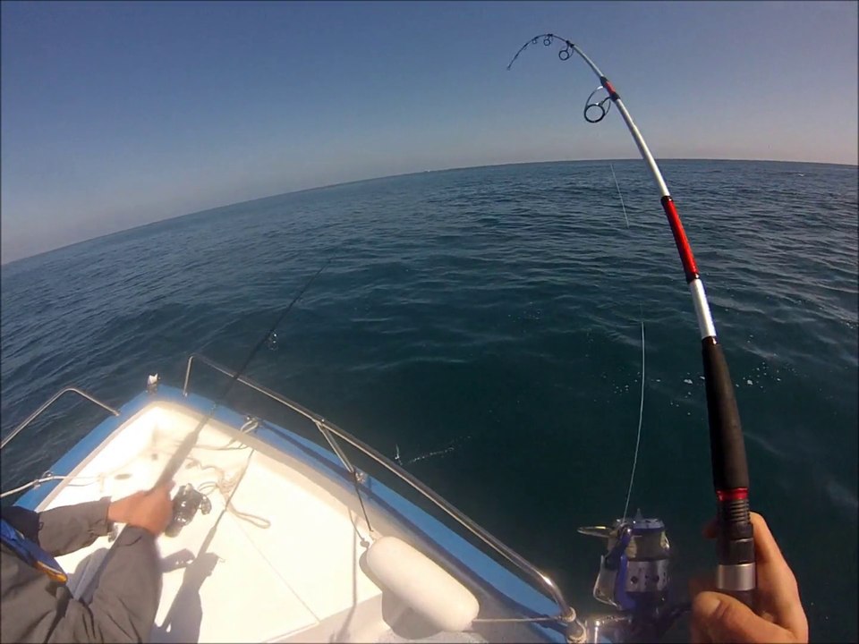 Fish Ooon _ Blue Fin Tuna _ attaque de thon en direct Roussillon Fishing