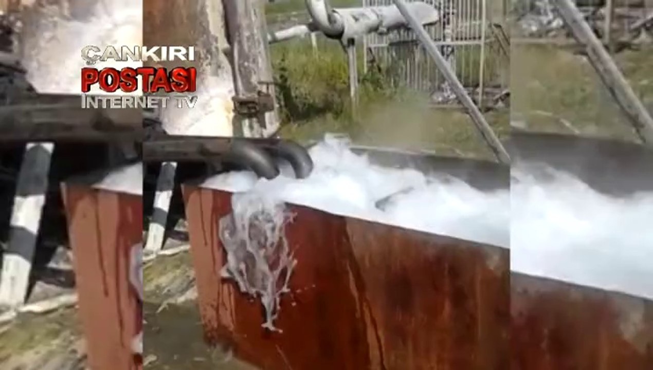 Ab-ı Hayat bölgesinde şaşırtan artış!