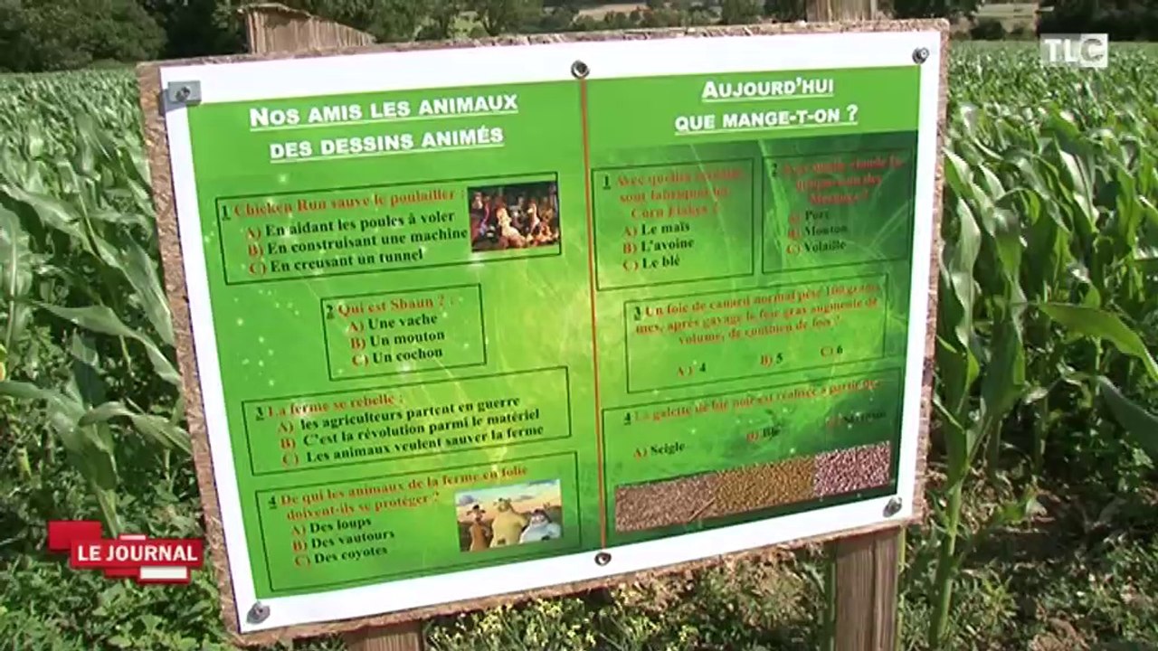 VENDREDI 11-07-14