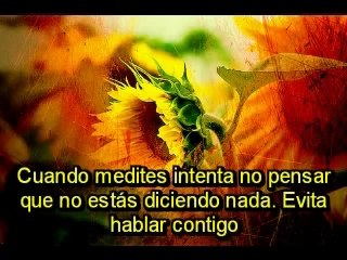 Consejos para meditación