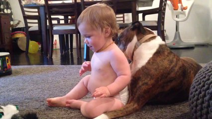 Un chien lave un bébé à coup de langue... C'est l'heure du bain!!!