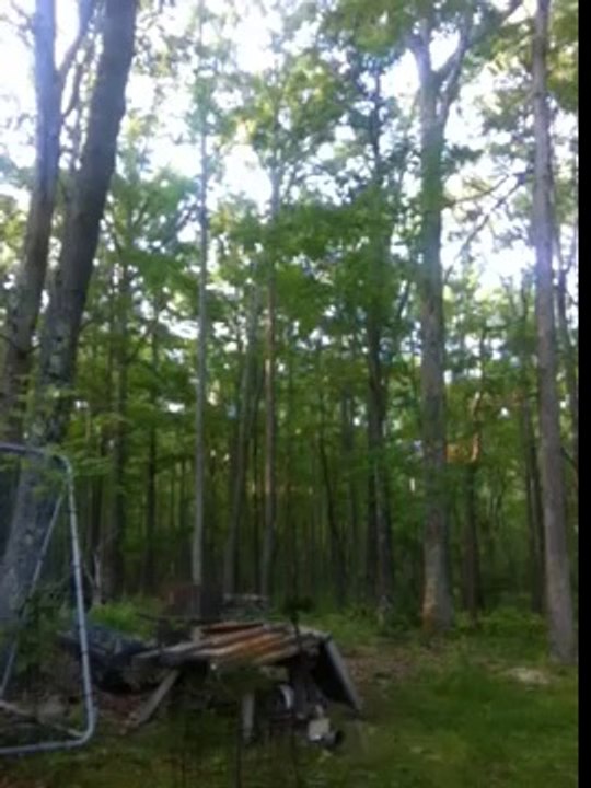REAL GHOST FOOTAGE! Part 2