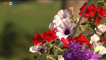 Het Weer [11-7-2014] - RTV Noord