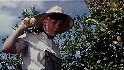 Manolo Escobar - Los Limoneros