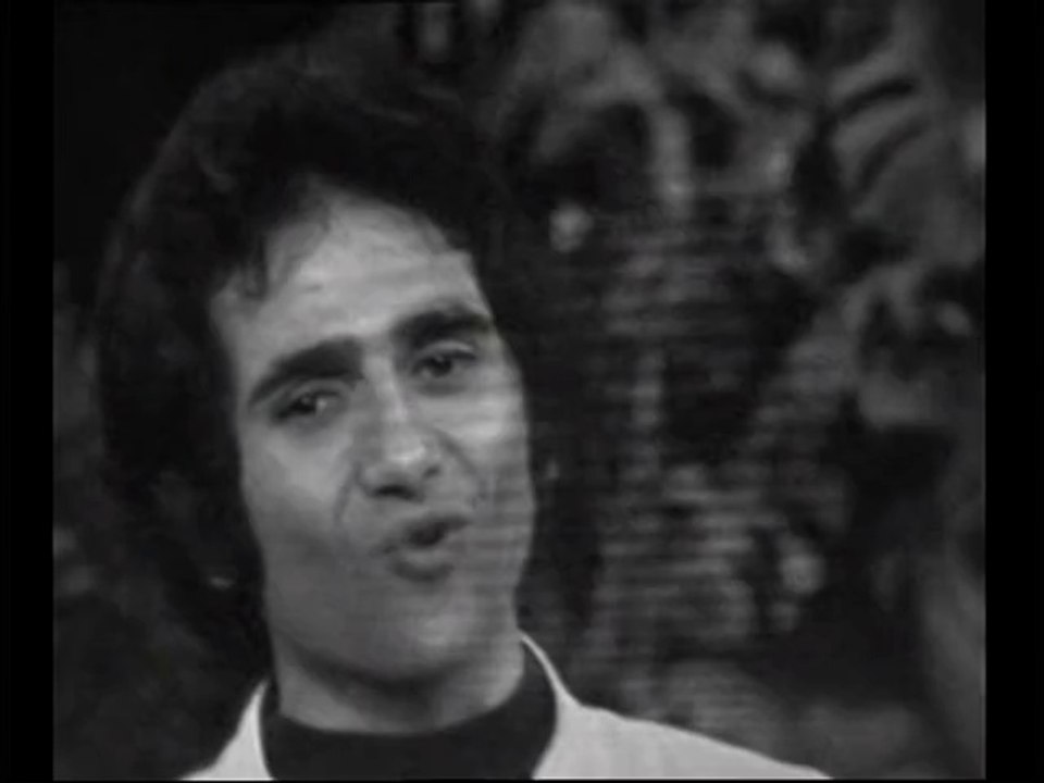 bernard ischer le soldat de bois