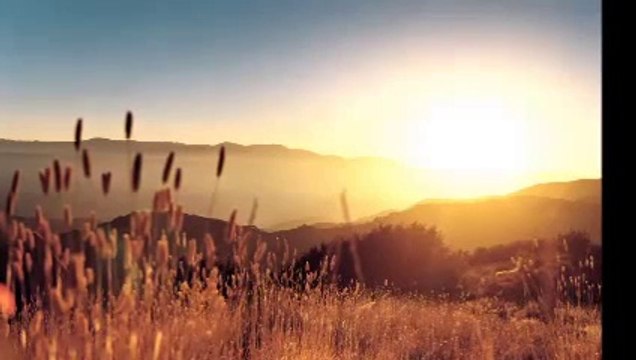 Zalim Felek Değirmenin Döndümü - Zara