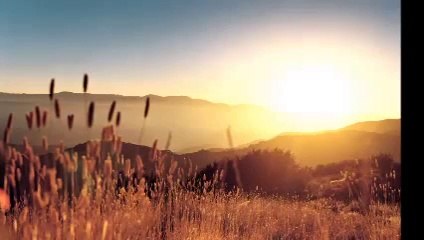 Zalim Felek Değirmenin Döndümü - Zara