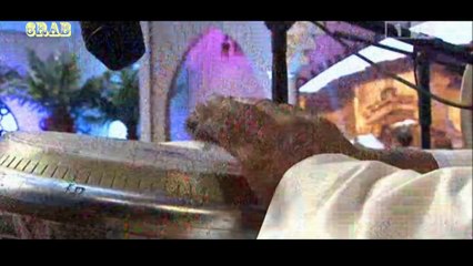 ‫عبدالله الرويشد - مافي احد مرتاح - جلسات الدانة‬