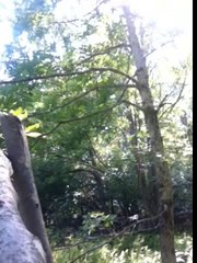 110% REAL BIGFOOT FOOTAGE