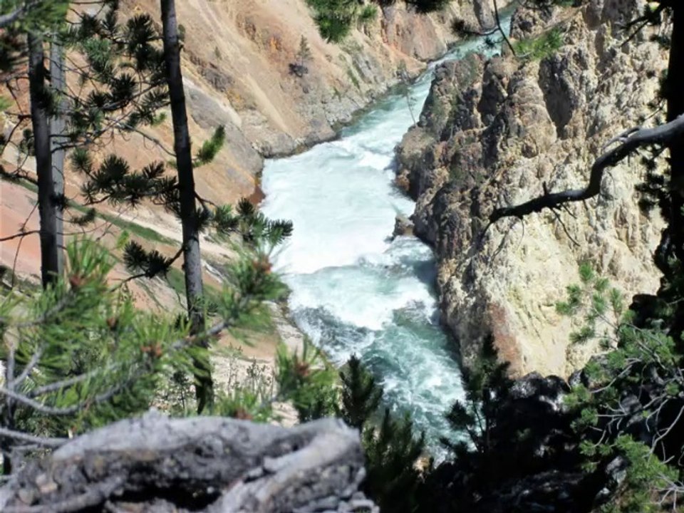 Yellowstone Update
