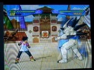Combos budokai 3