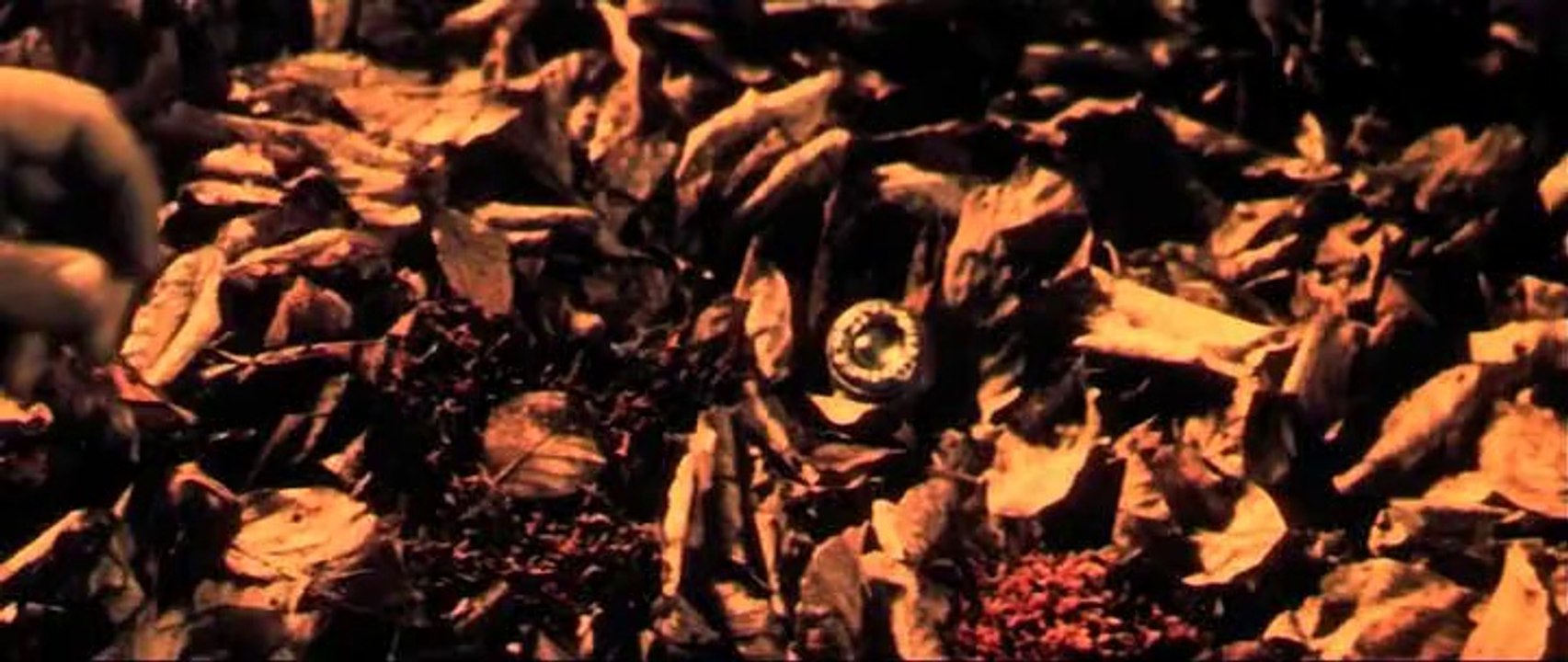 Die feuerrote Blume 1978