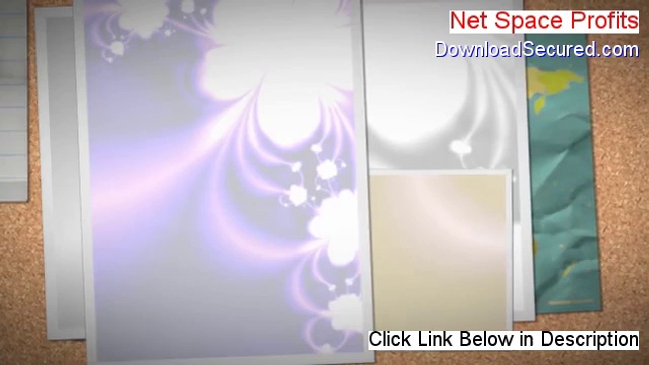 Net Space Profits Reviewed - net space profits 3.0 (2014)