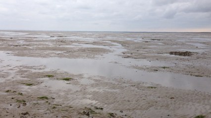 Initiation à la pêche à pied