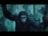 Dawn Of The Planet Of The Apes is Entertaining | Dawn Of The Planet Of The Apes | Movie Review