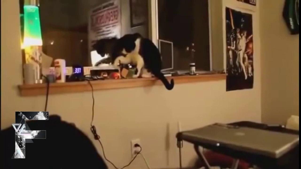 Animals can be jerks - wegschmeiss.de