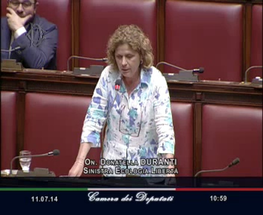 Roma - Camera - 17° Legislatura - 262° seduta (11.07.14)
