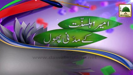 Schedule of Madani Channel - Today 10 July 2014