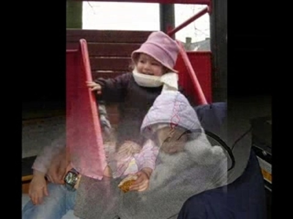 Les puces1