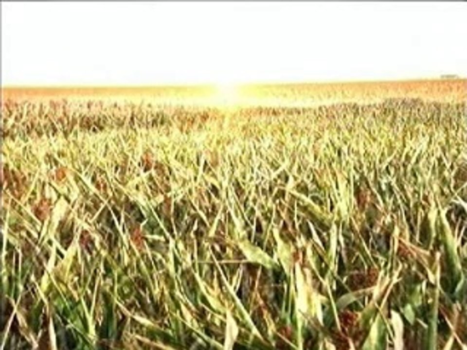 Scie chimiche, HAARP - L'alba del dominio elettromagnetico