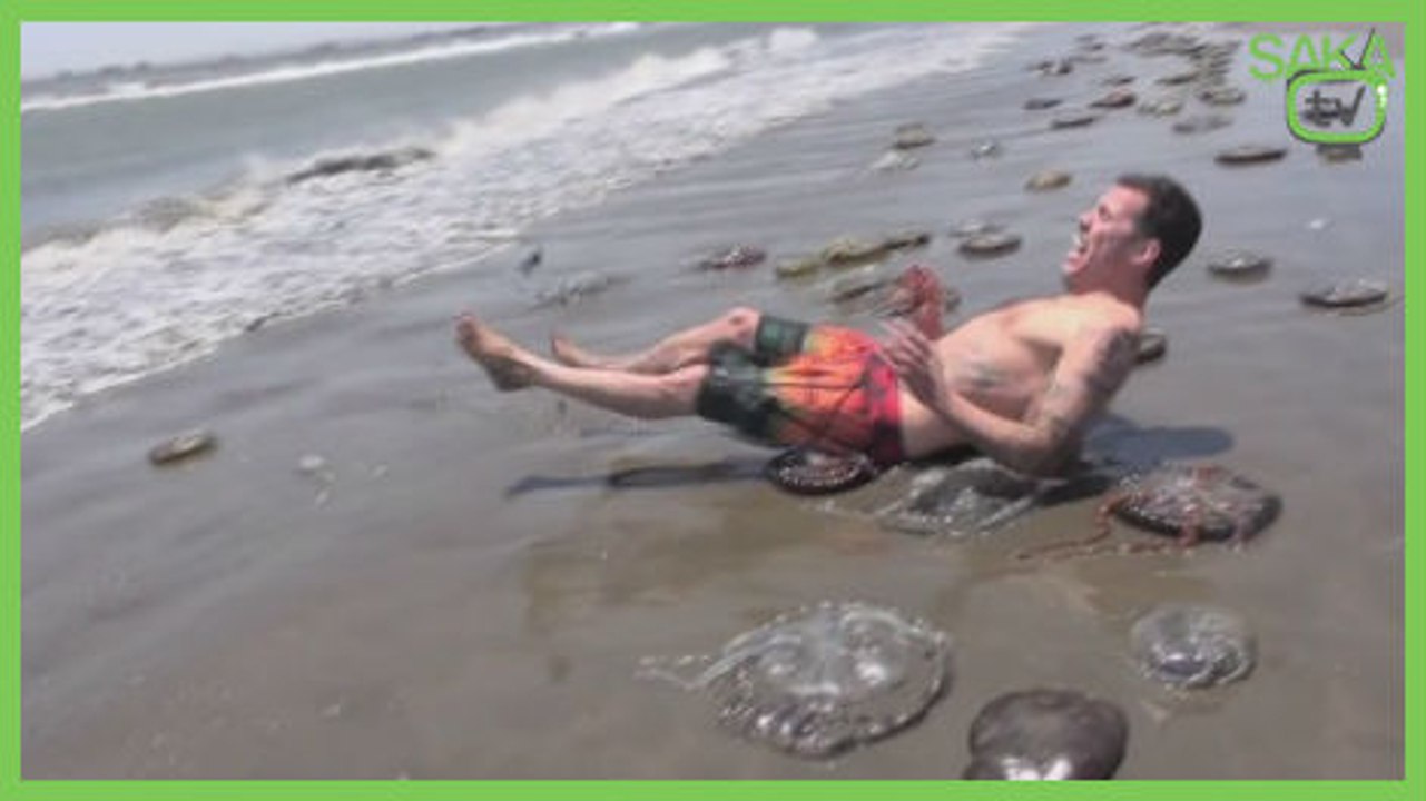 Denizanalarından Şapka Yapmaya Çalışan Adam