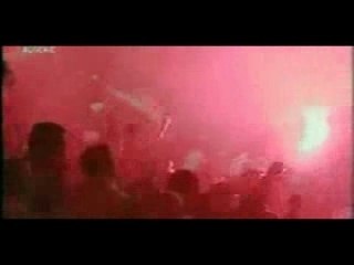 Les algeriens DANGER