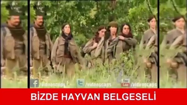 Onlarda ve bizde hayvan belgeseli