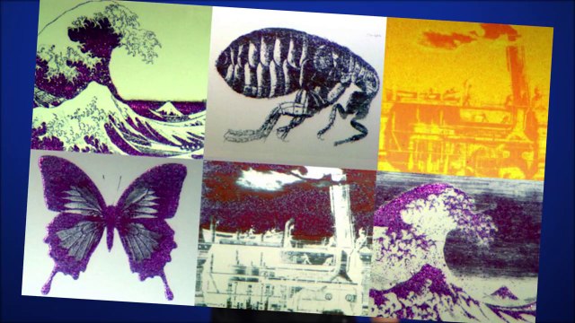 GTA V gets Mantle, Microscopic DickButt Pics, and EA Innovates - Netlinked Daily Friday Edition