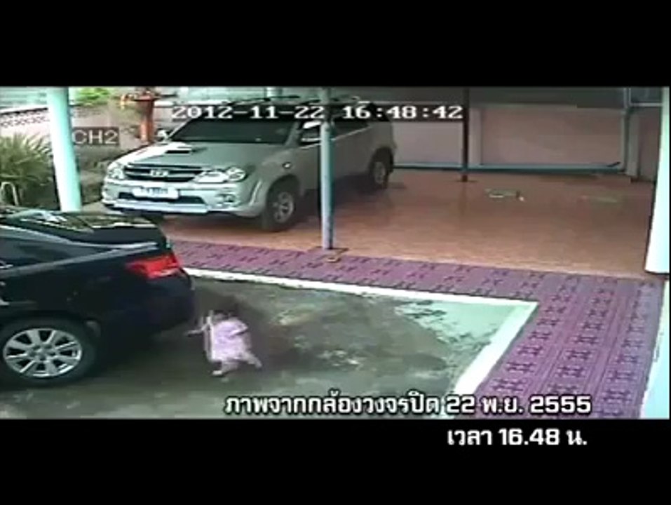 Please Watch Your Kids (Sad Accident)